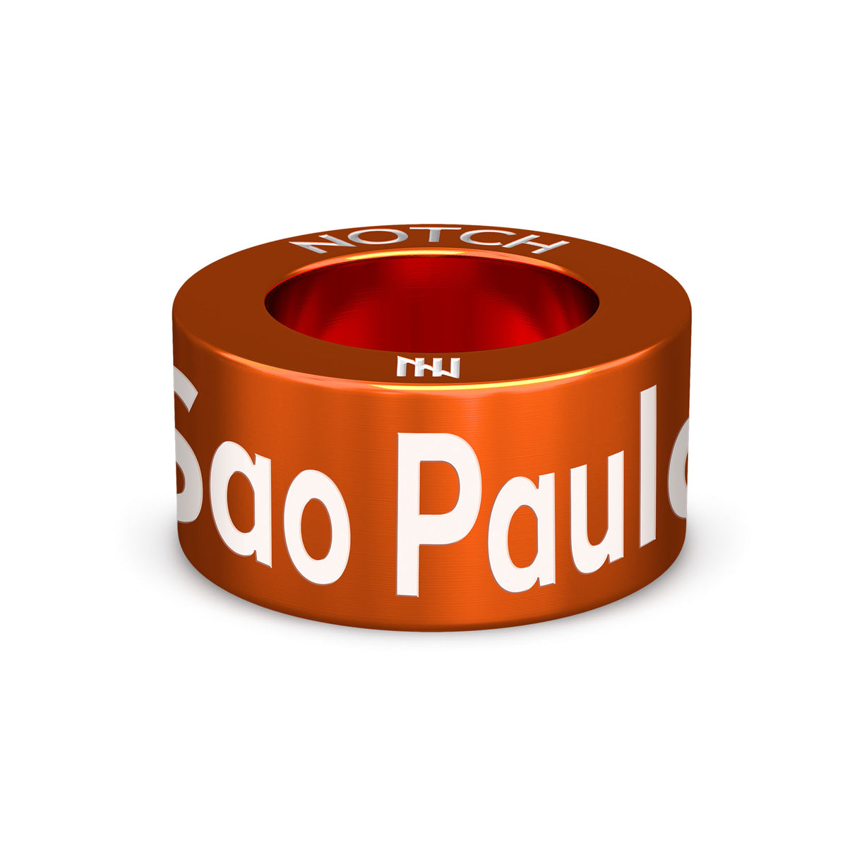 Sao Paulo Gay Pride NOTCH Charm