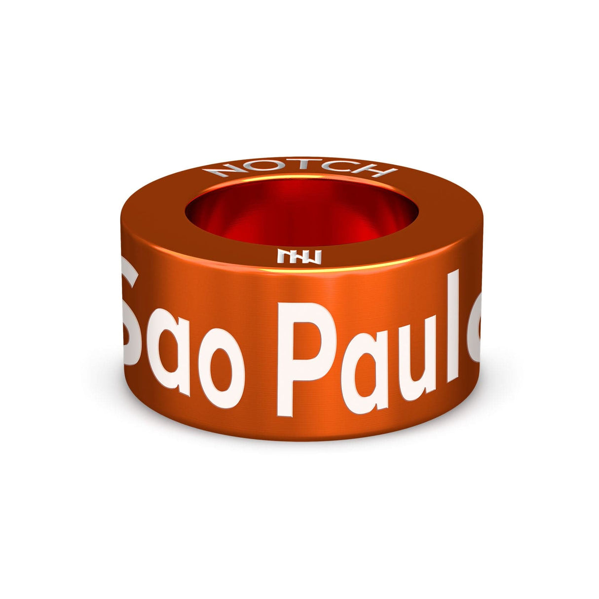 Sao Paulo Gay Pride NOTCH Charm