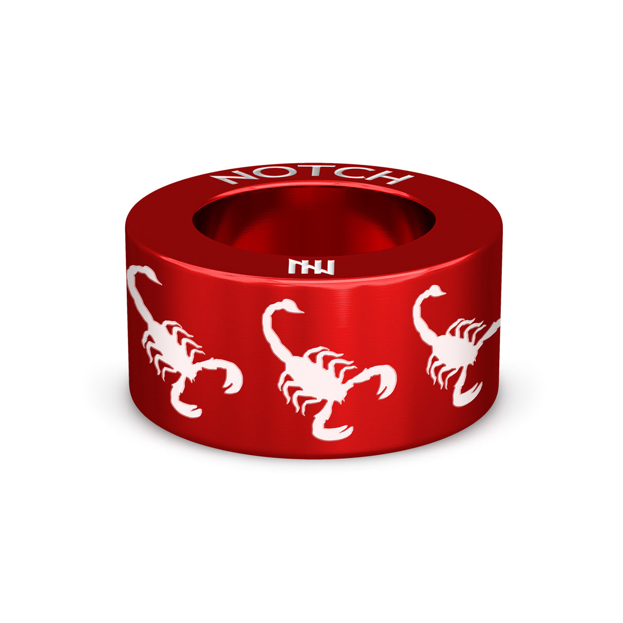 Scorpio Scorpion NOTCH Charm