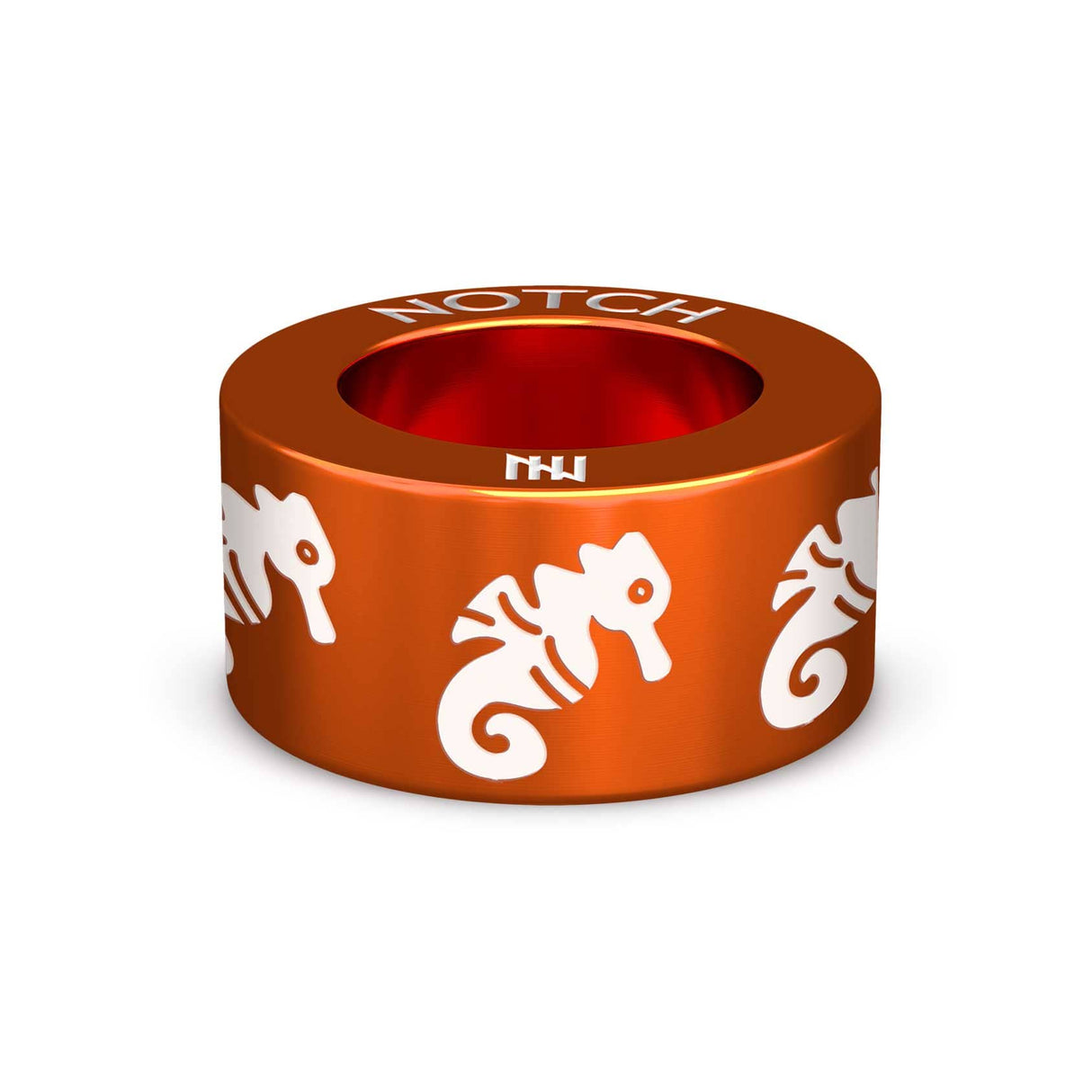 Sea Horse NOTCH Charm