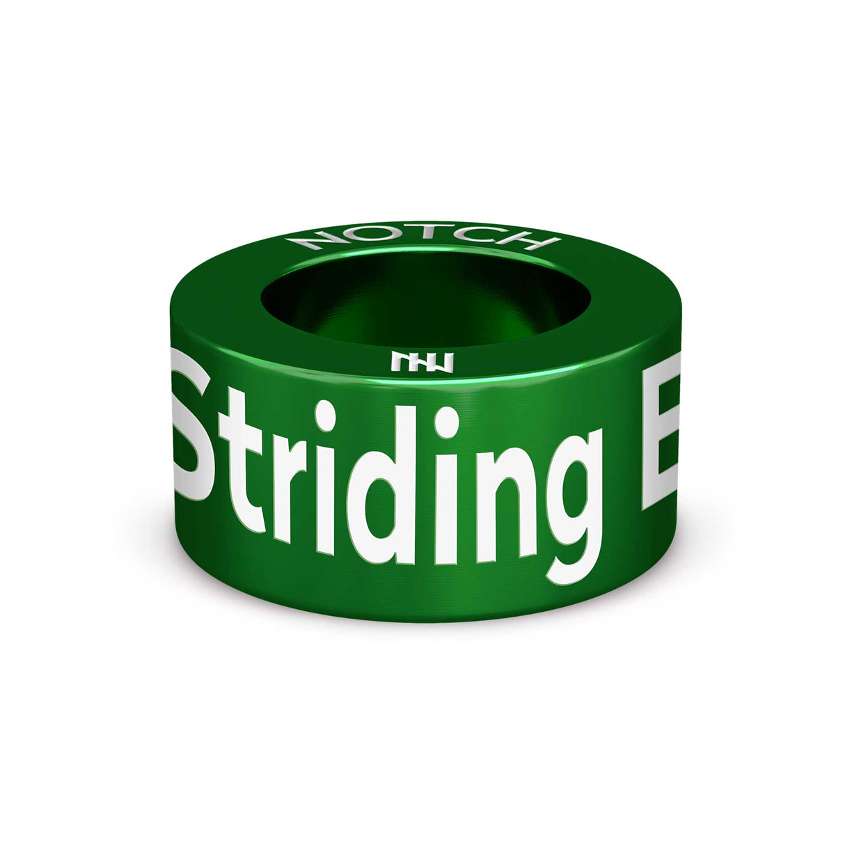 Striding Edge NOTCH Charm