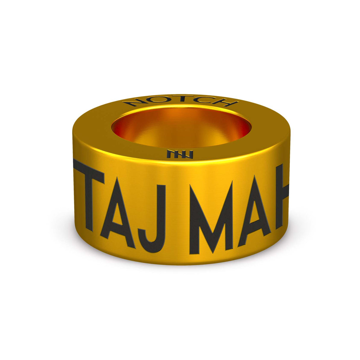 TAJ MAHAL 144 Miles NOTCH Charm