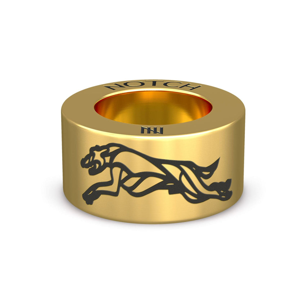 Tails We Win Workshops with Joe Lamont NOTCH Charm