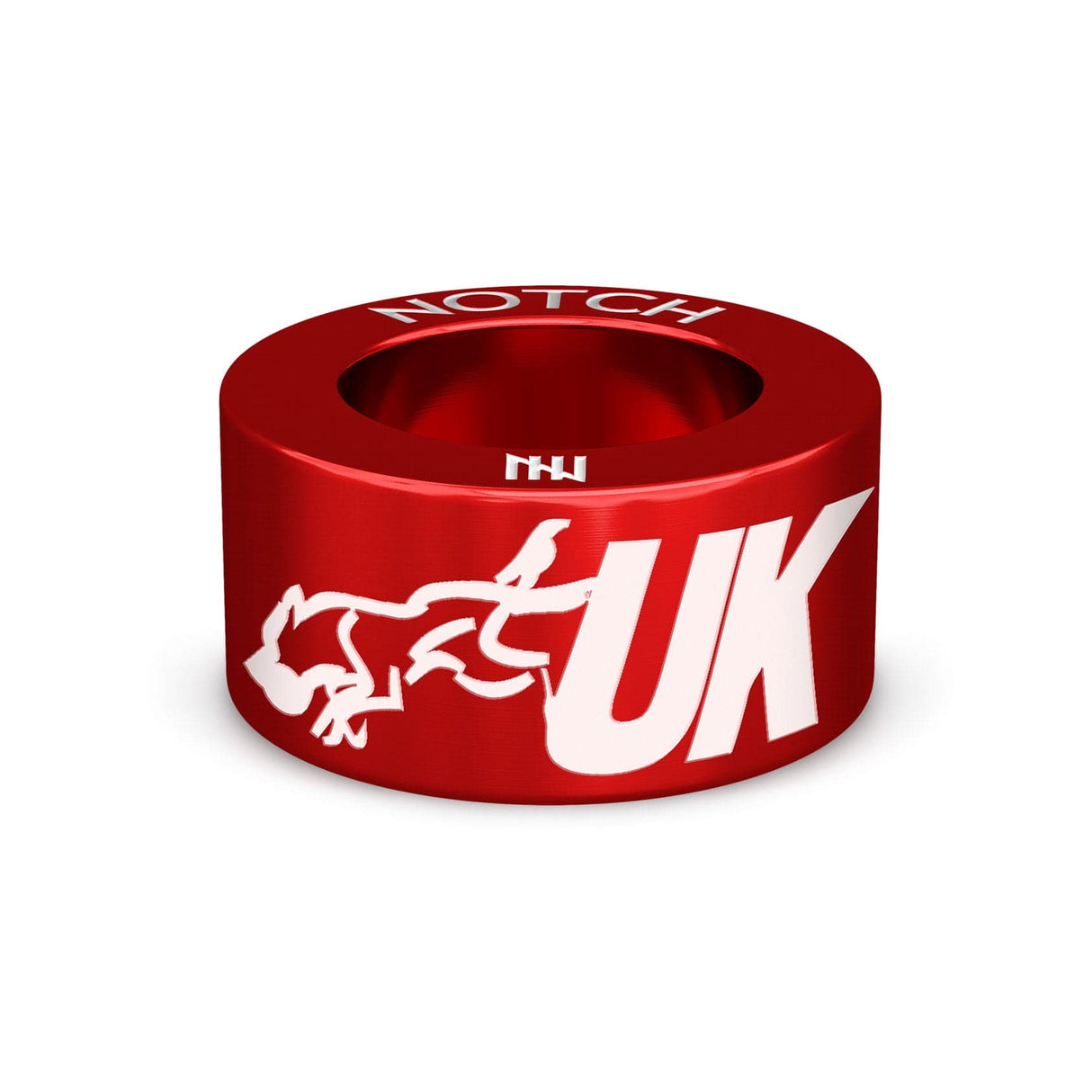 UK Flyball NOTCH Charm