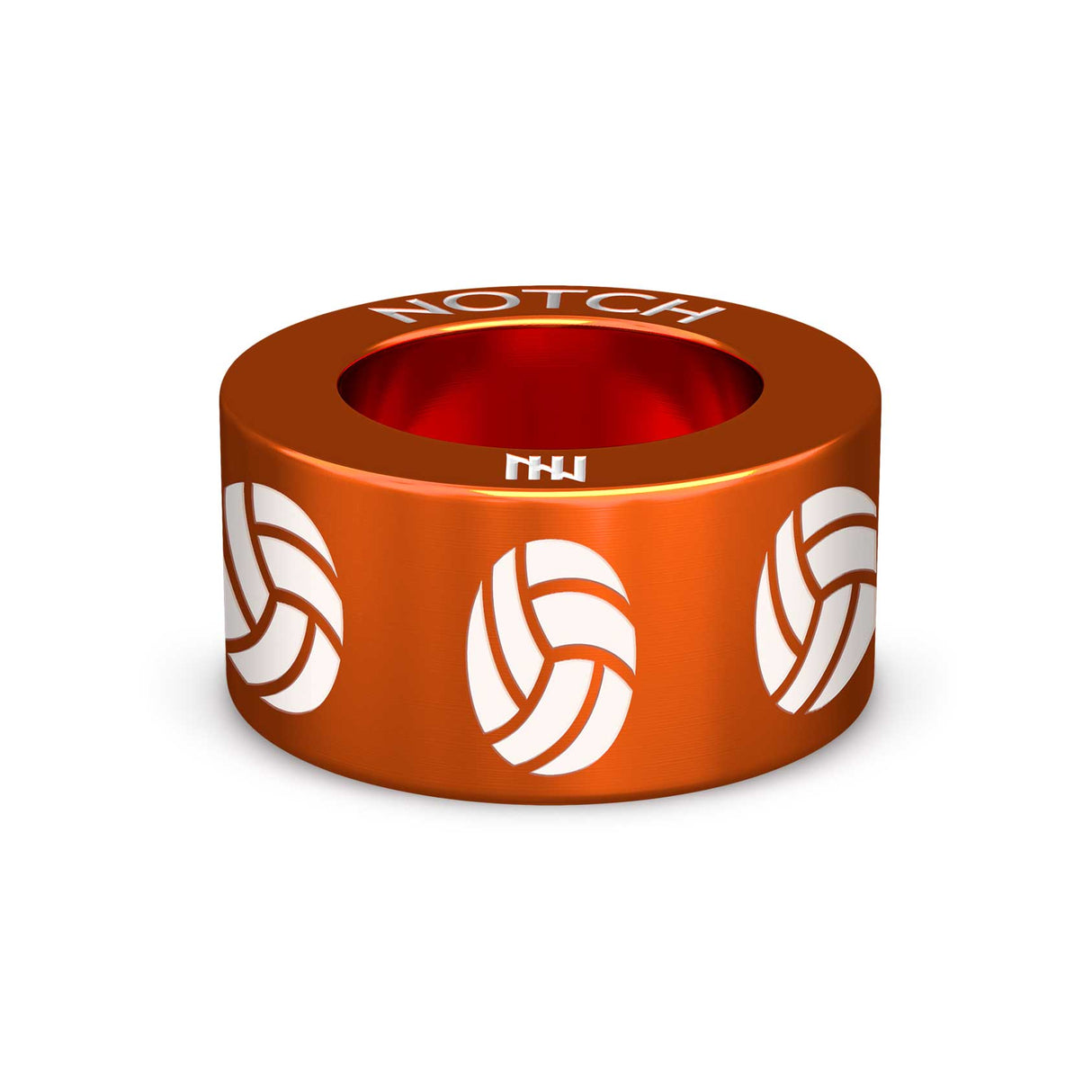 Volley Ball NOTCH Charm