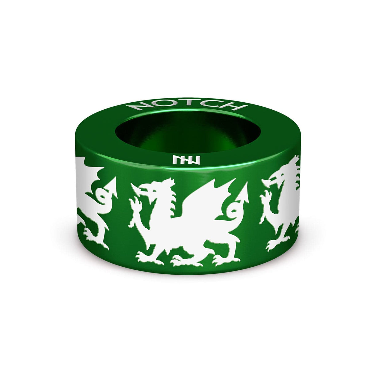Welsh Dragon NOTCH Charm