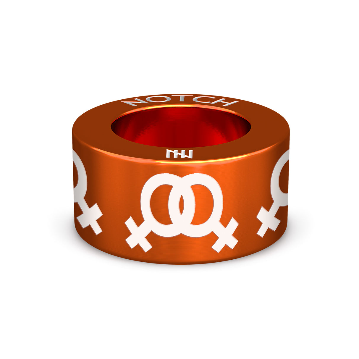 Lesbian A NOTCH Charm