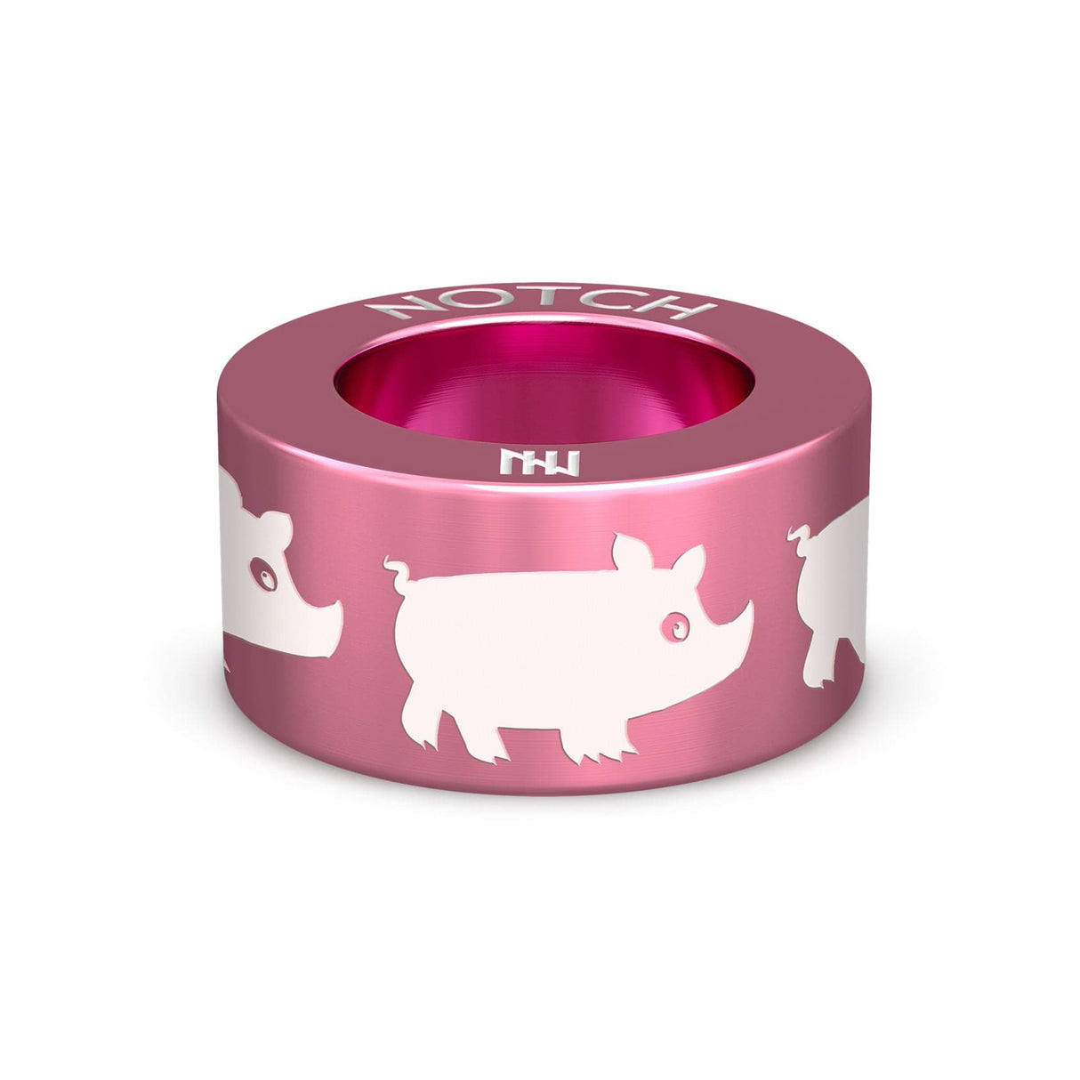 Pigs NOTCH Charm