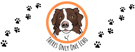 'There's Only One Echo' Notch Collection