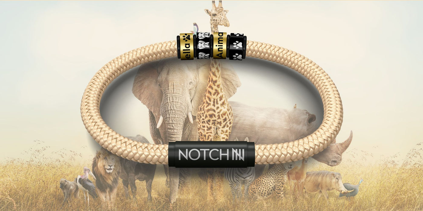 Animal NOTCH Charms