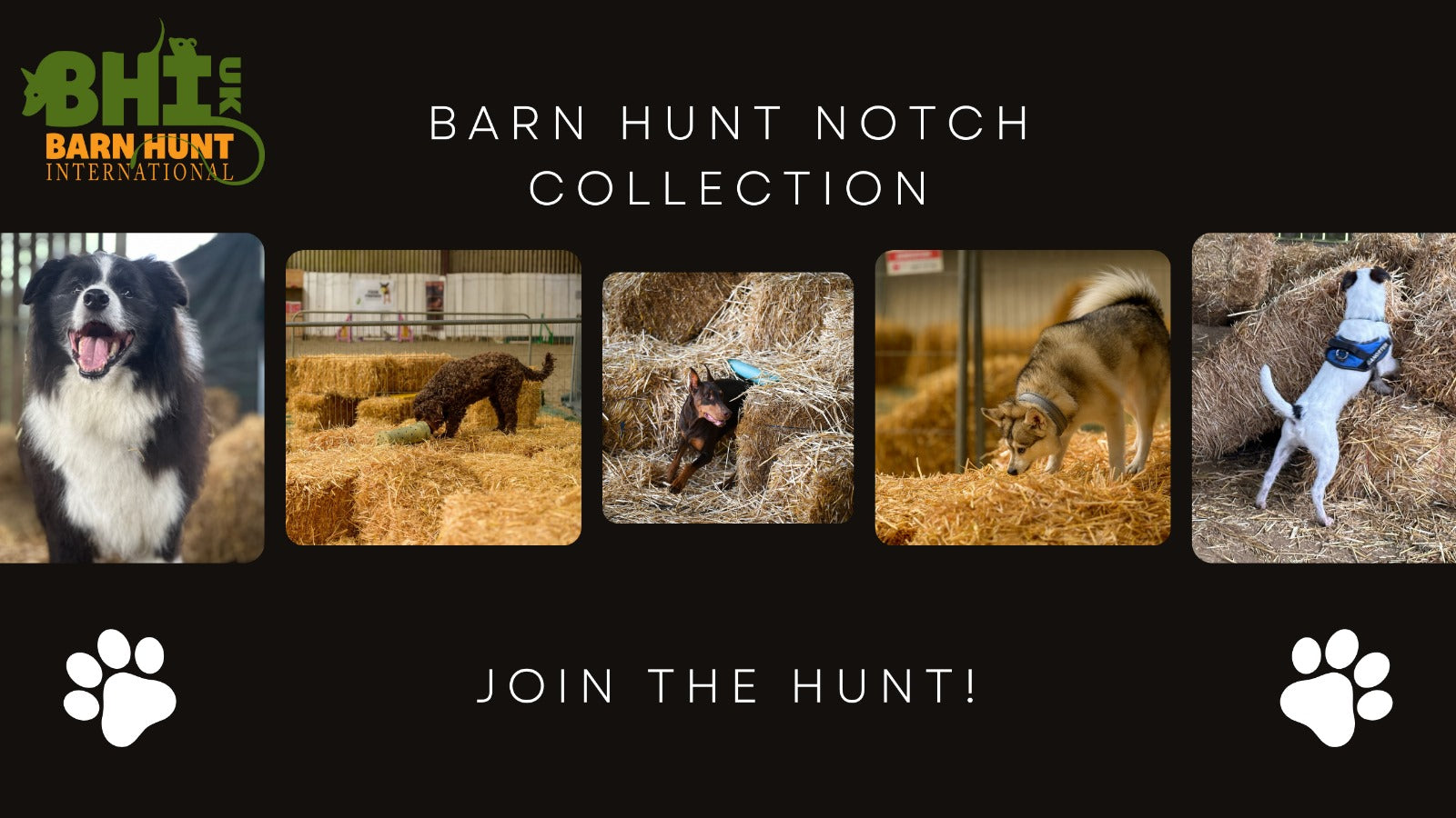 Barn Hunt NOTCH Collection