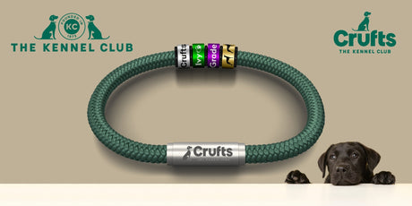 Official Kennel Club and Crufts NOTCH Collection
