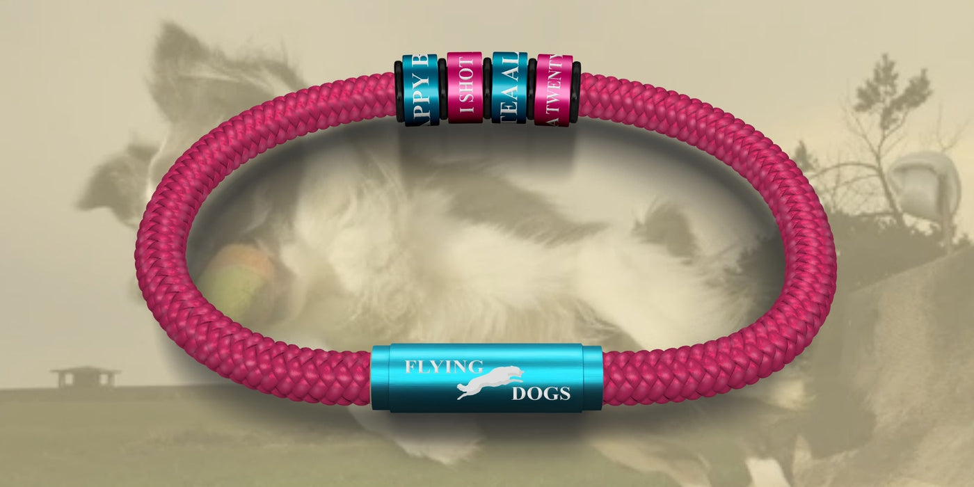 The Flying Dogs NOTCH Collection