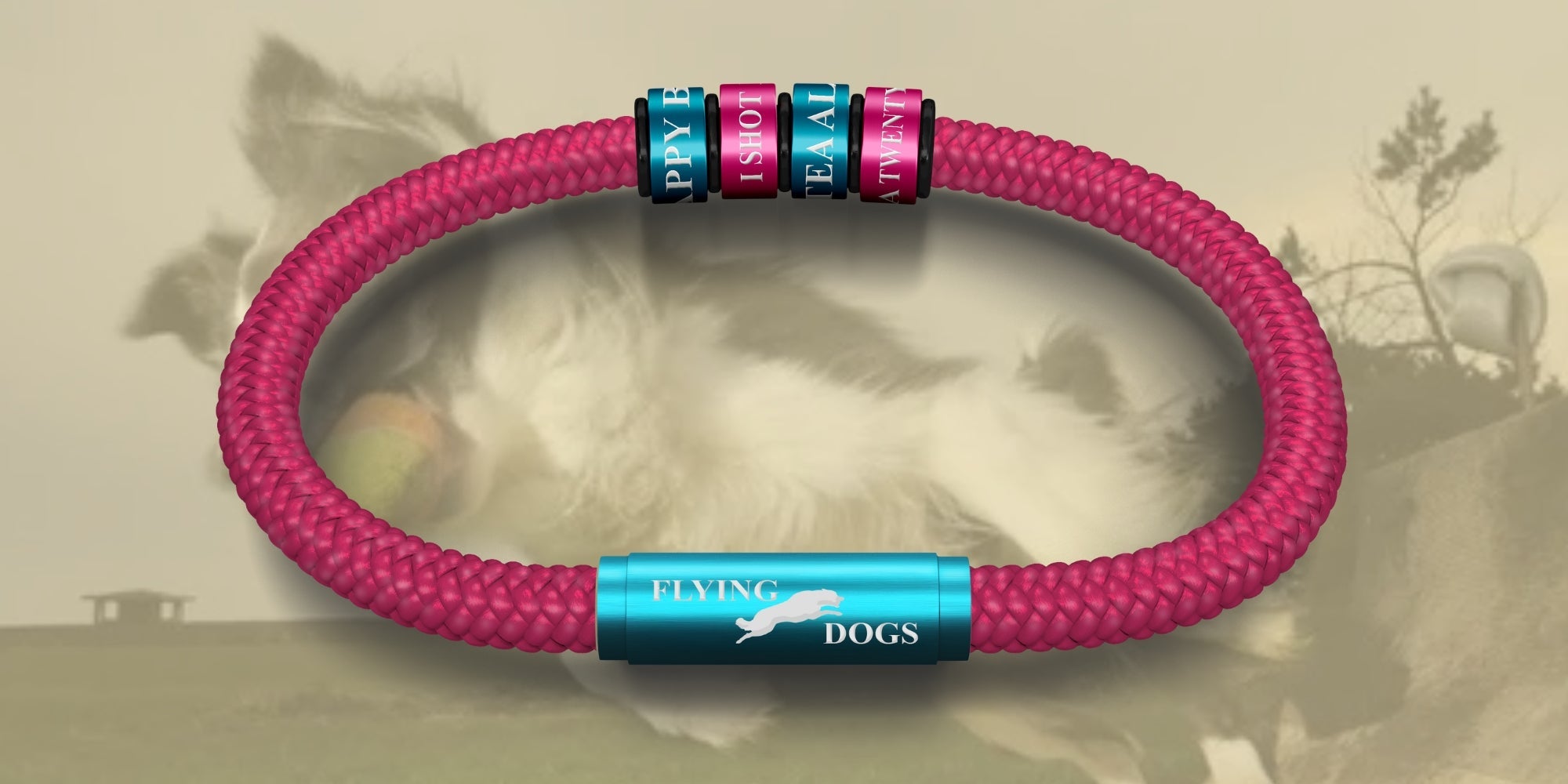 The Flying Dogs NOTCH Collection