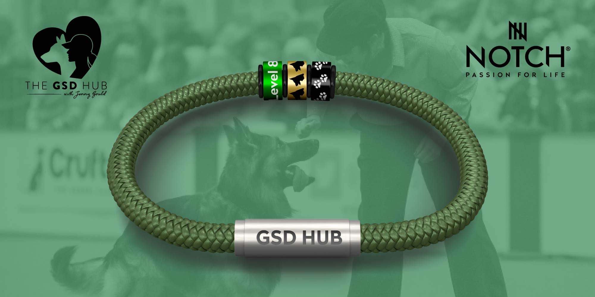 The GSD Hub NOTCH Collection
