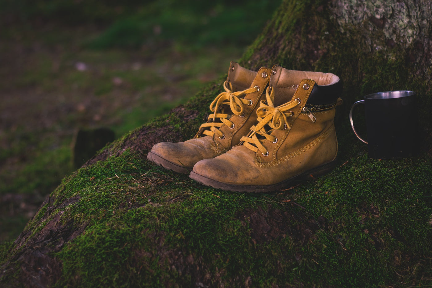 Cobbs X Hiking NOTCH Collection