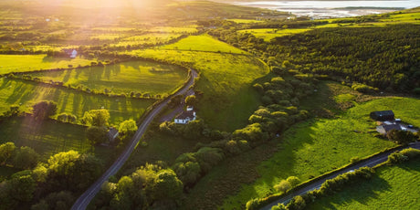 The Island of Ireland Collection