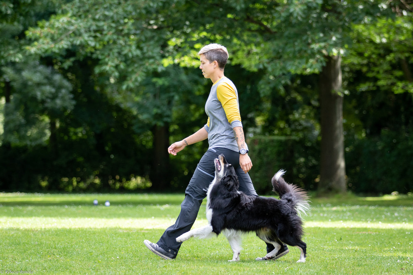 Anna Herzog Dog Sports Academy NOTCH Charms