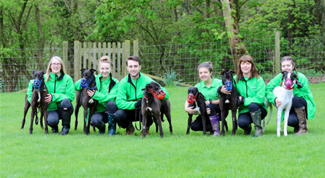 Greyhound Trust NOTCH Charms