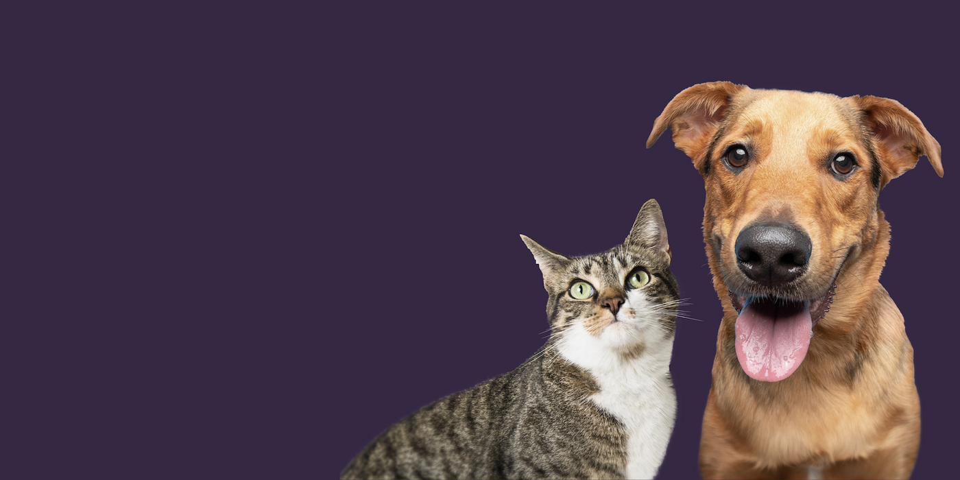 Only Rescues X Notch