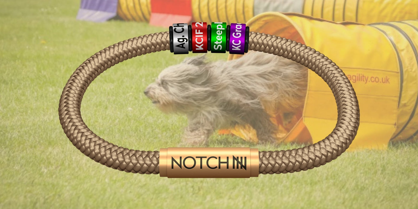 Dog Agility NOTCH Collection