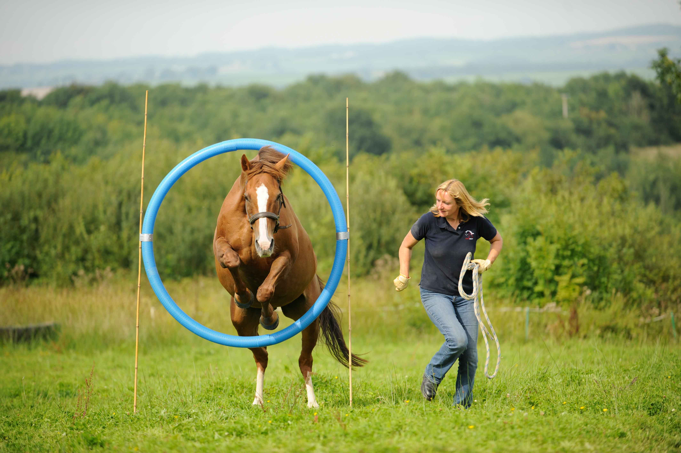 Horse Agility NOTCH Charms