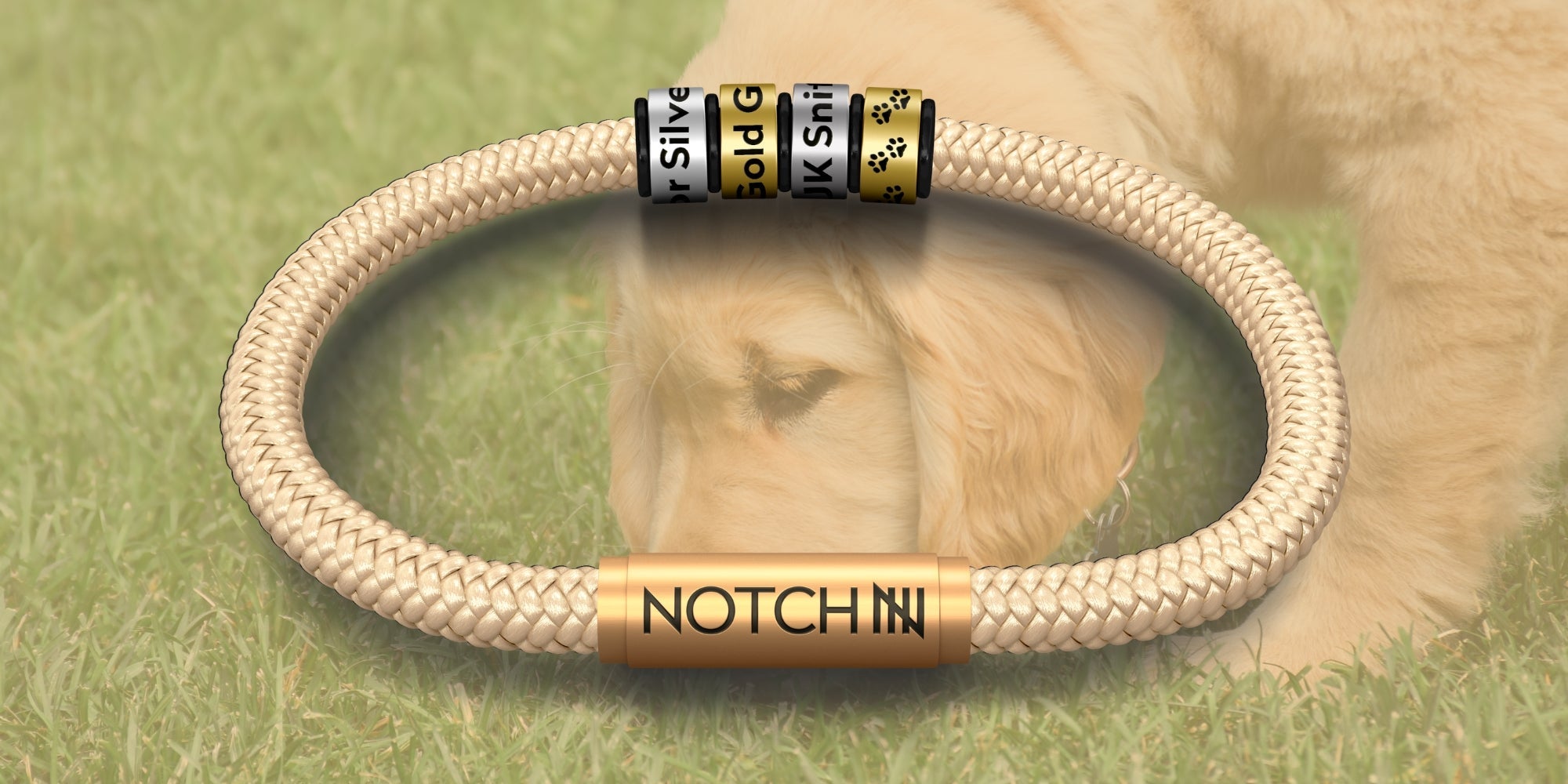 UK Sniffer Dogs NOTCH Collection