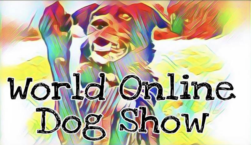 World Online Dog Show NOTCH Charms