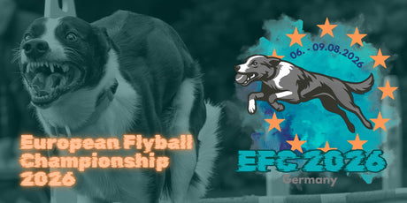 European Flyball Championship Notch Charms