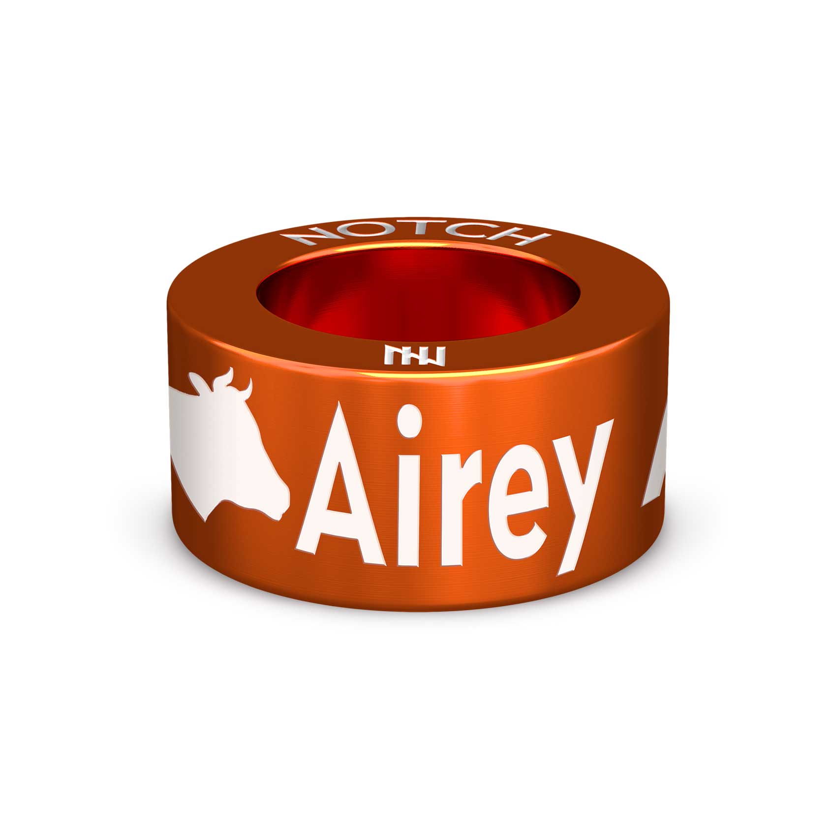 Airey Airways NOTCH Charm