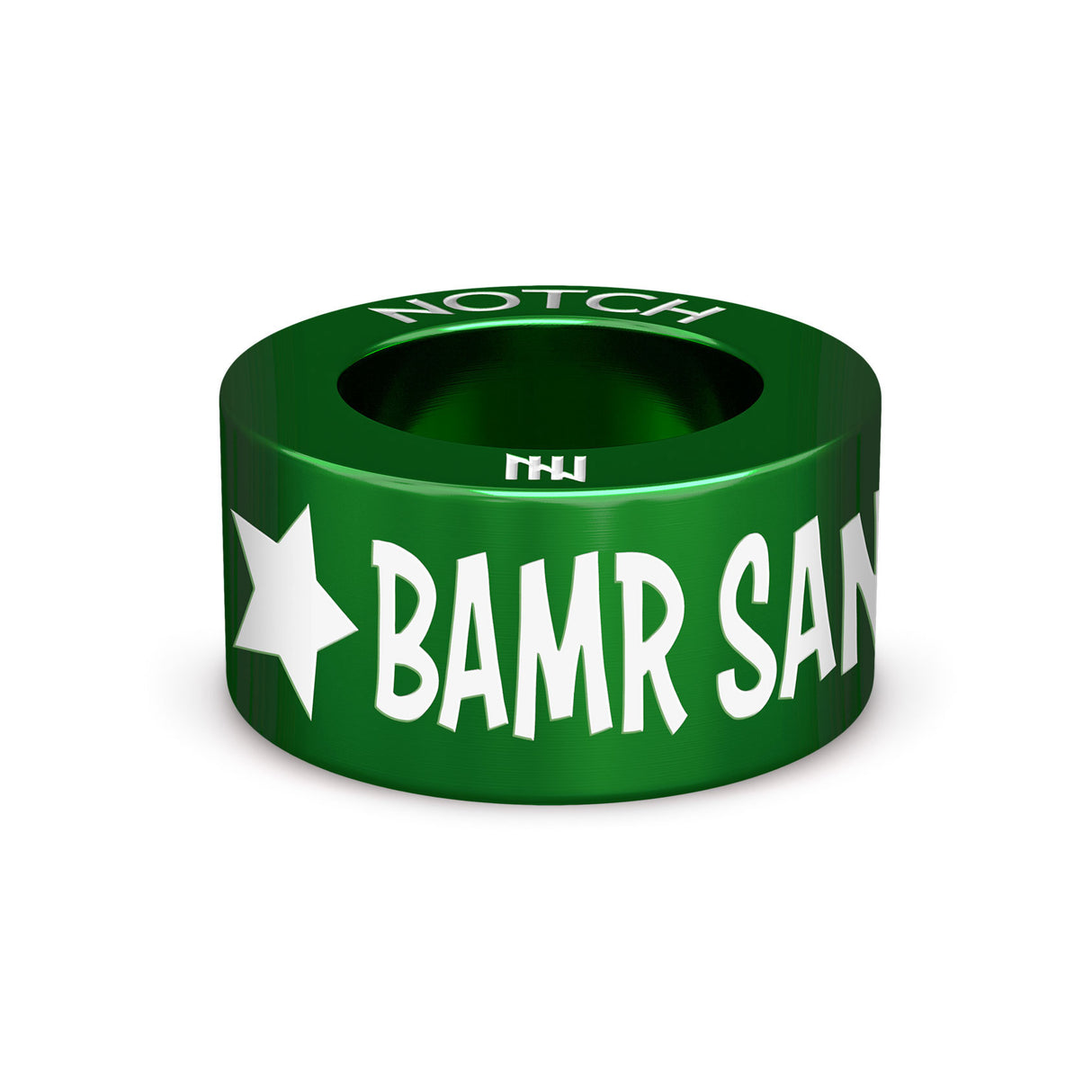 BAMR SANITY NOT VANITY NOTCH Charm