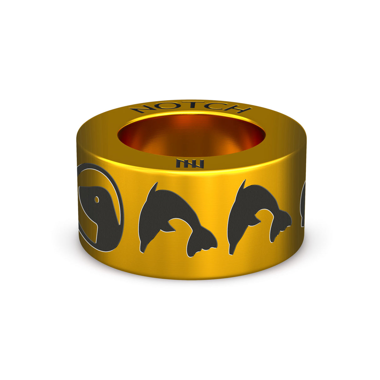 BDMLR Dolphin NOTCH Charm