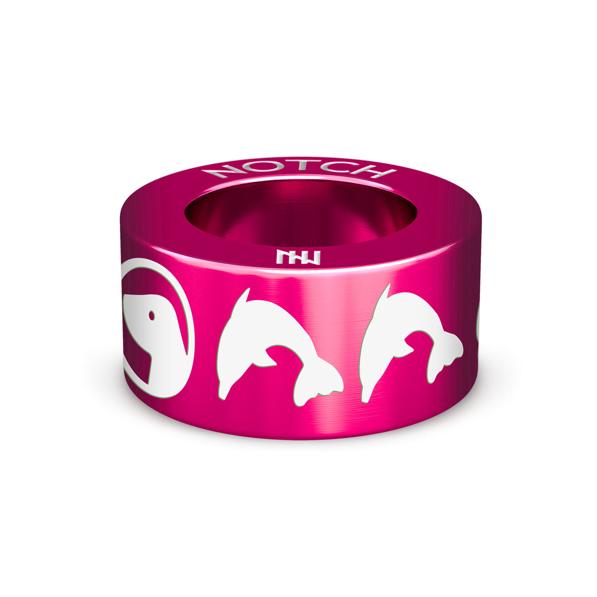BDMLR Dolphin NOTCH Charm
