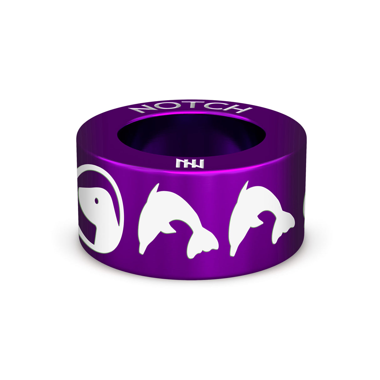 BDMLR Dolphin NOTCH Charm