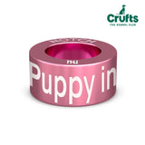 Best Puppy in Breed Official Crufts NOTCH Charm