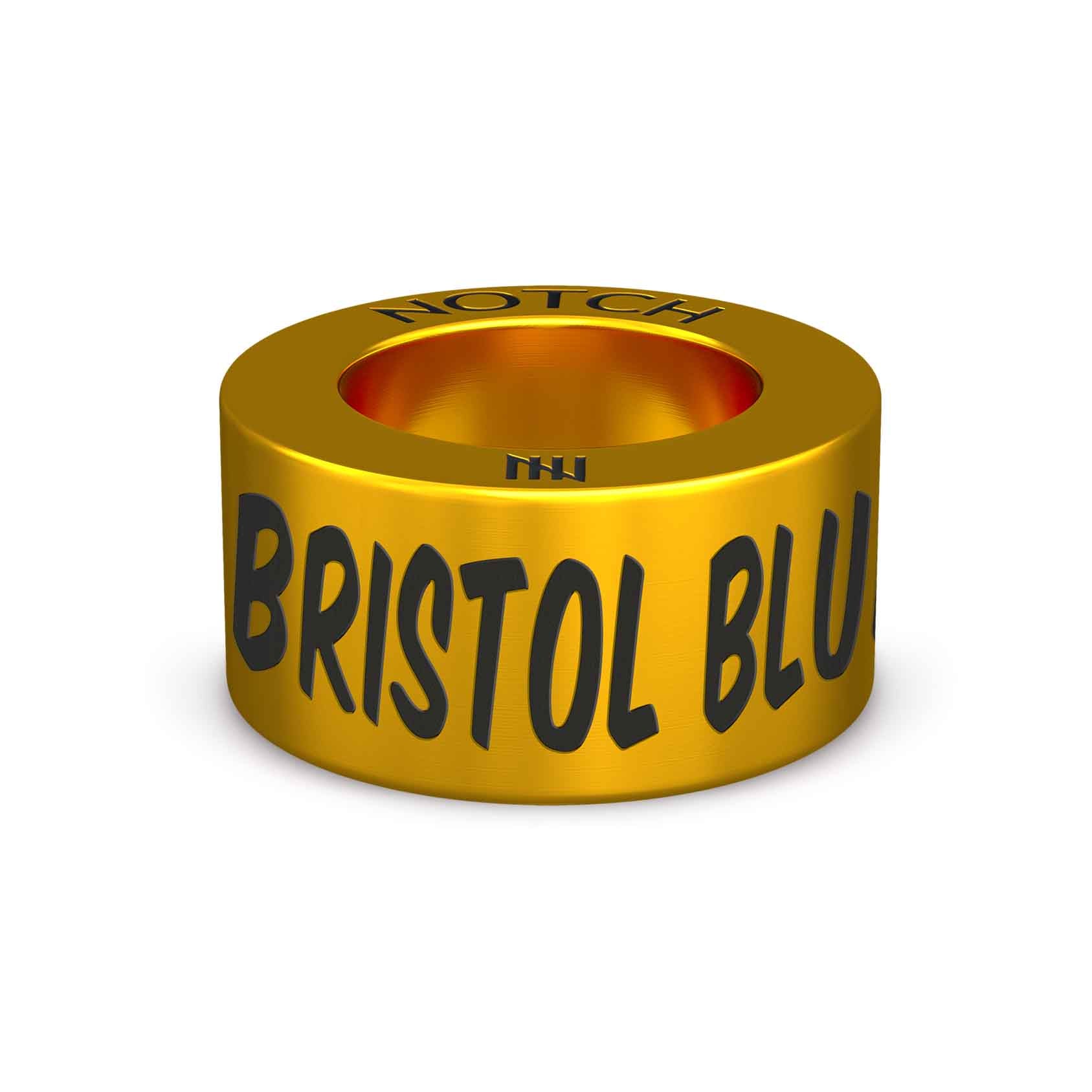 Bristol Bluetits NOTCH Charm