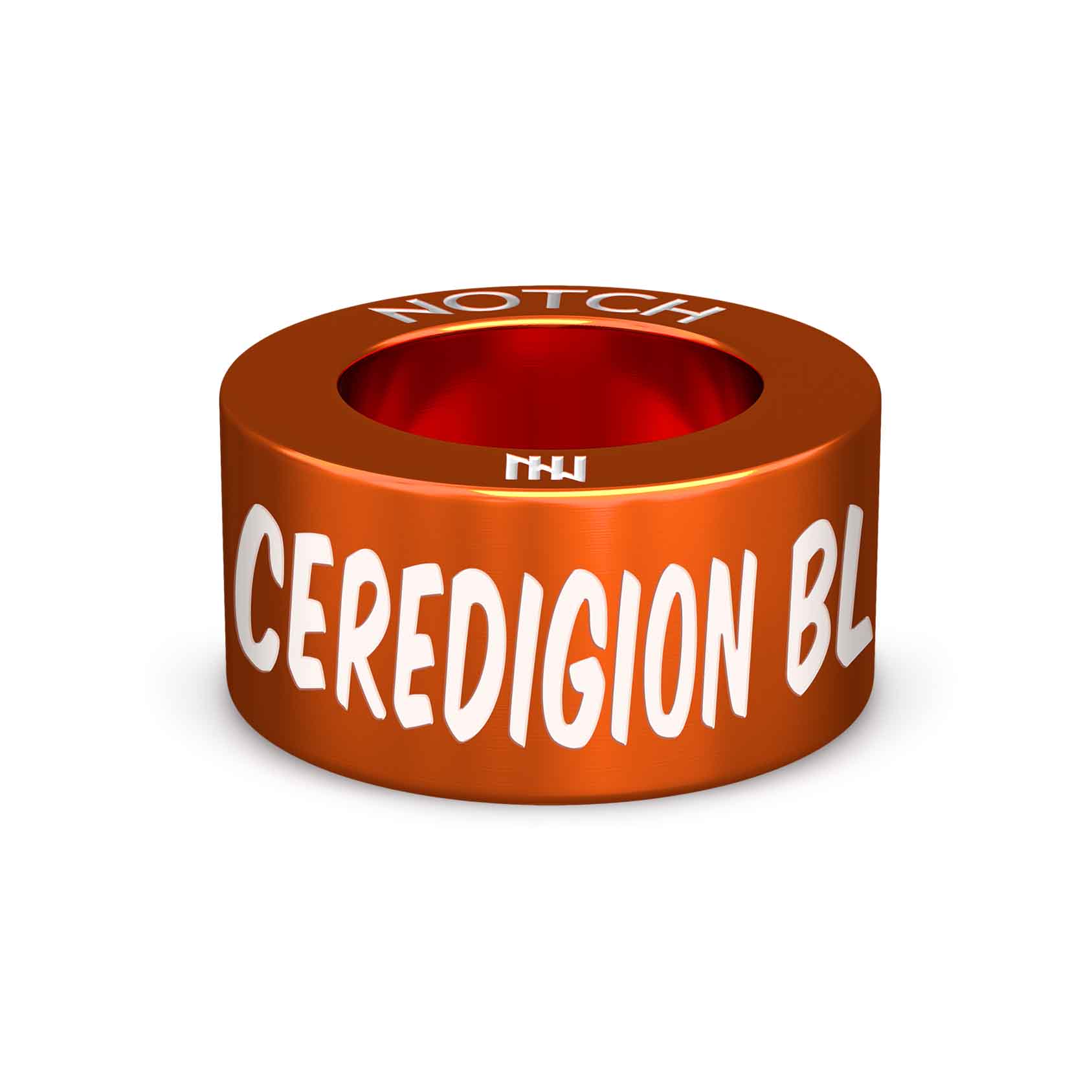 Ceredigion Bluetits NOTCH Charm