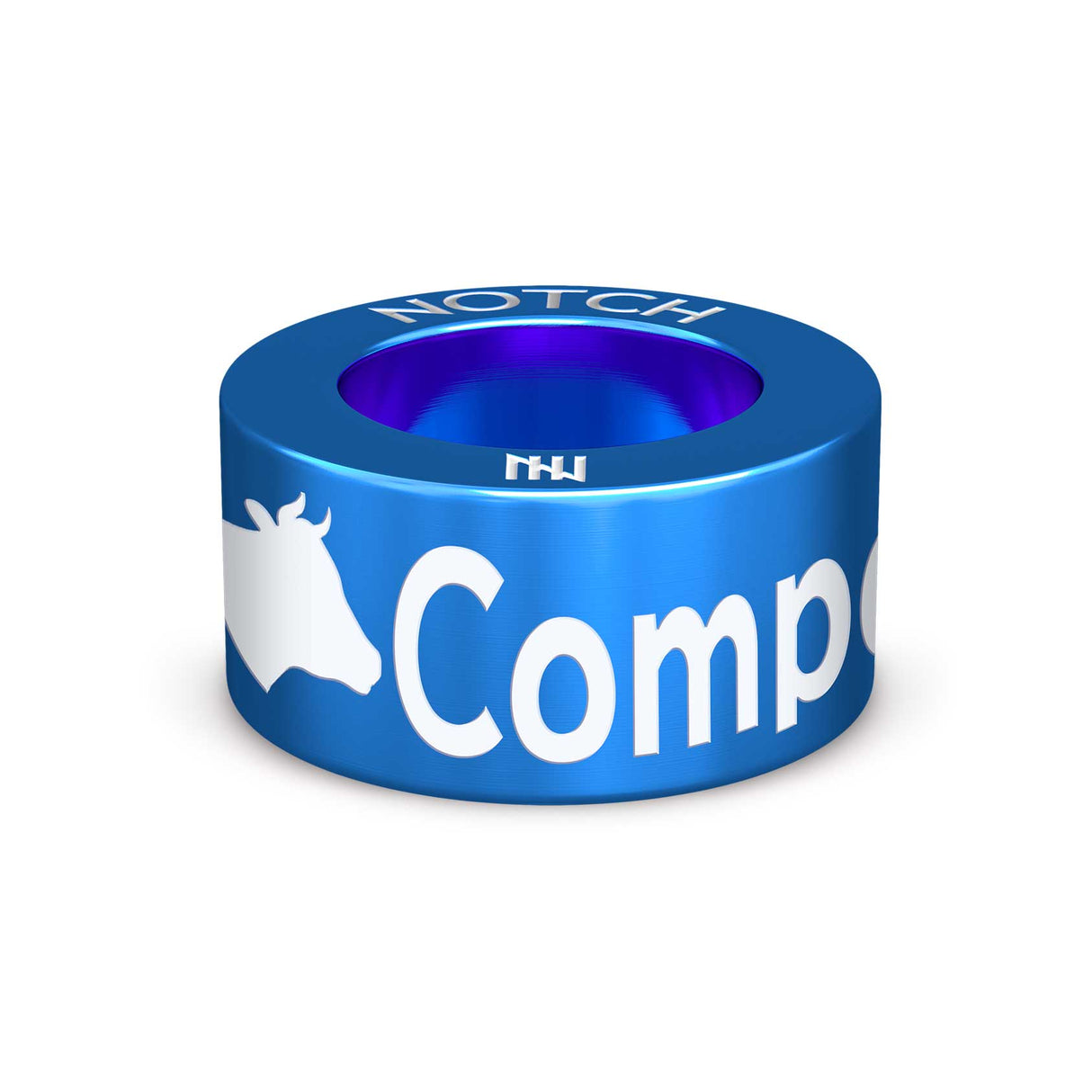 Compass Club AU NOTCH Charm