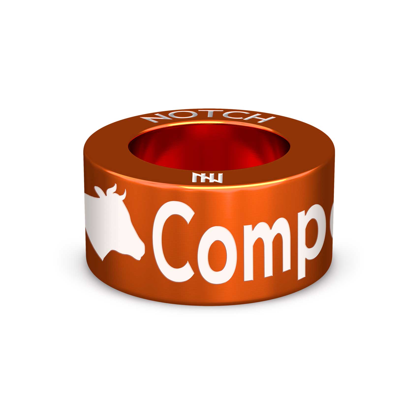 Compass Club CA NOTCH Charm