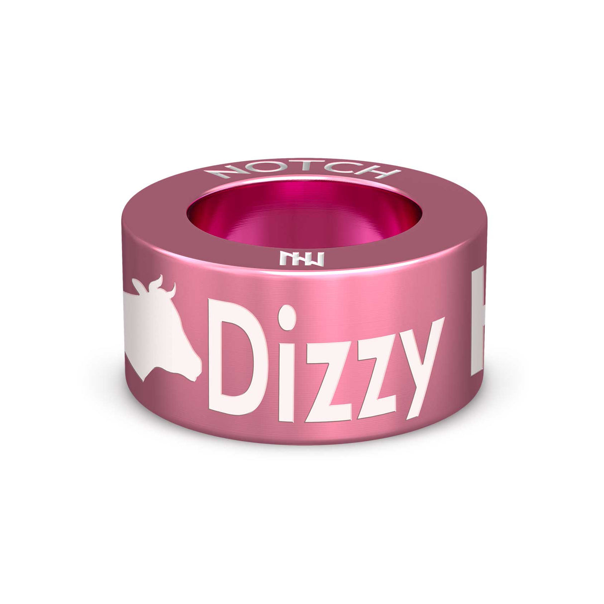 Dizzy Heights CA NOTCH Charm