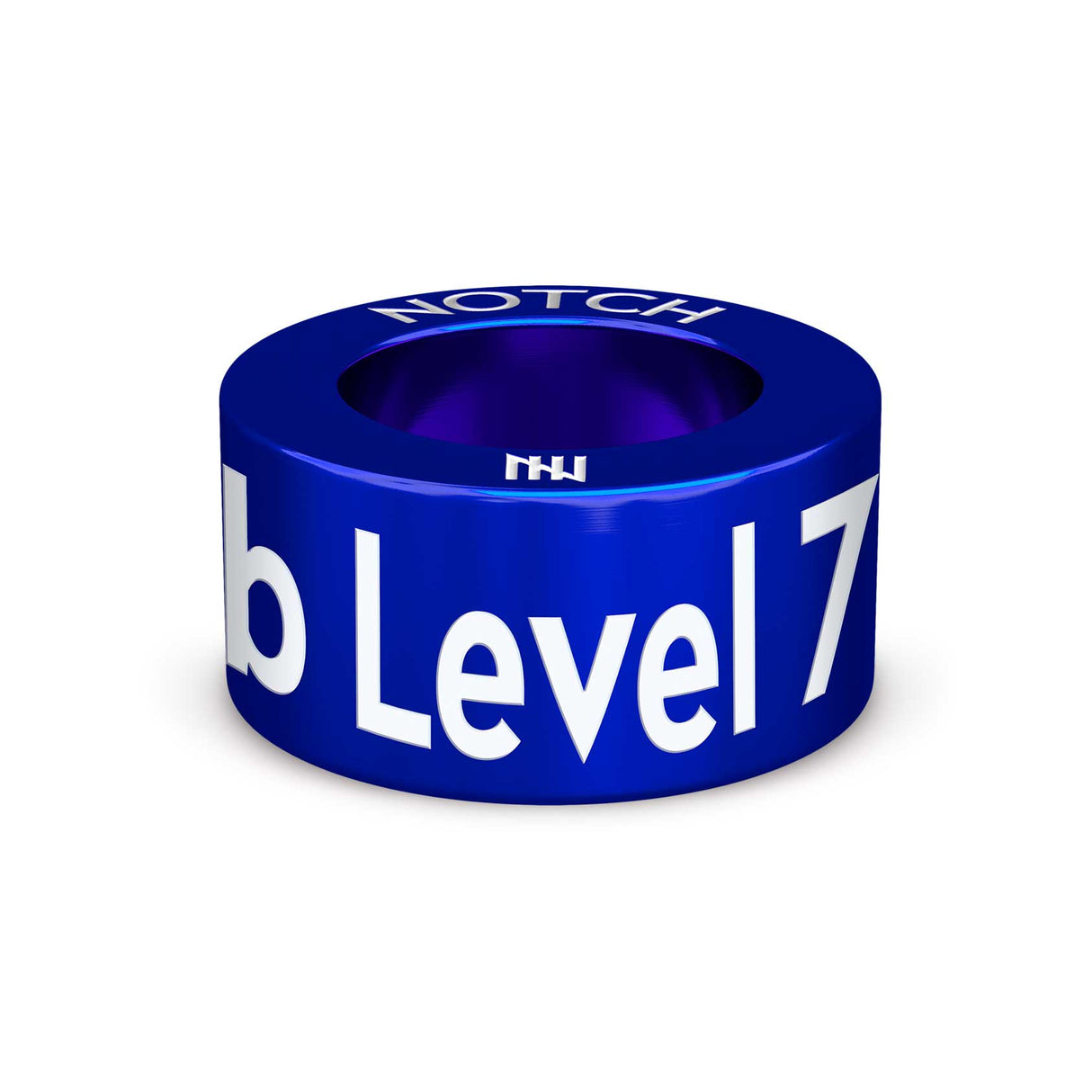 GSD Hub Level 7 NOTCH Charm