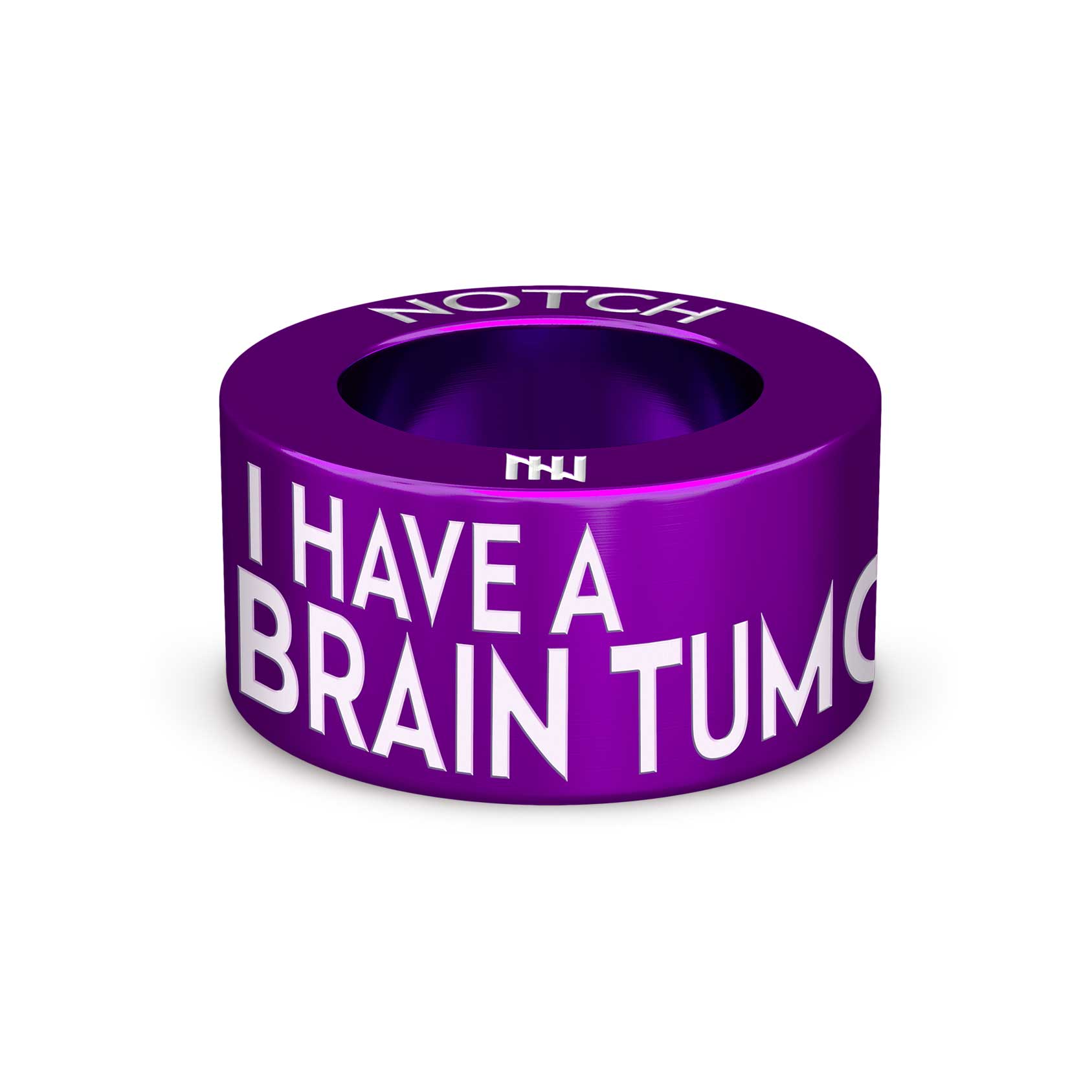 Brain Tumour NOTCH Charm