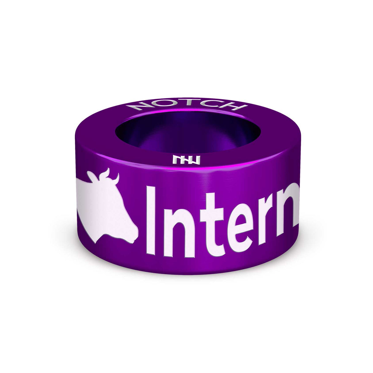 International Alphabeteer NOTCH Charm
