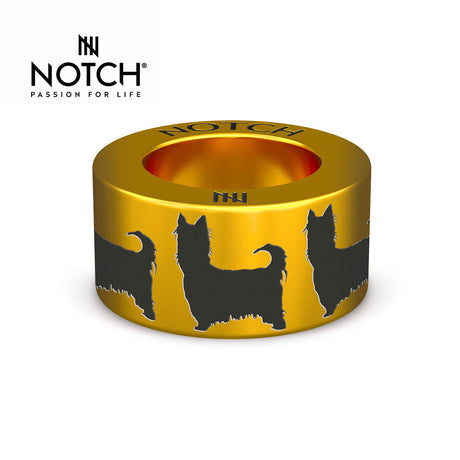 Australian Silky Terrier NOTCH Charm