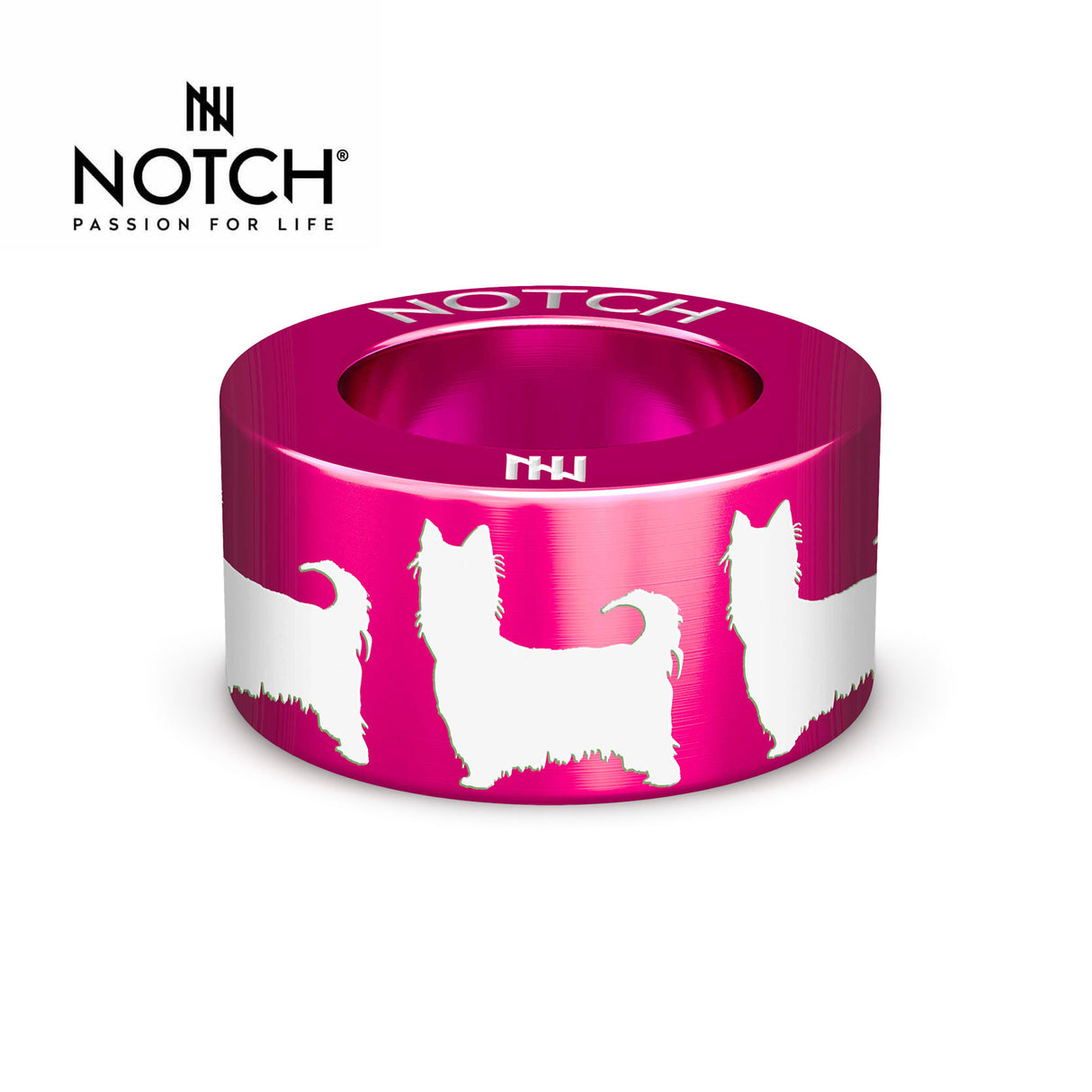 Australian Silky Terrier NOTCH Charm