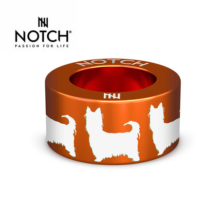 Australian Silky Terrier NOTCH Charm