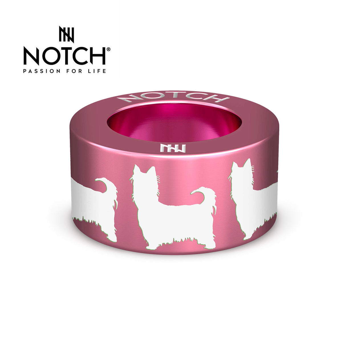 Australian Silky Terrier NOTCH Charm