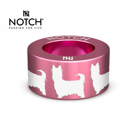 Australian Silky Terrier NOTCH Charm