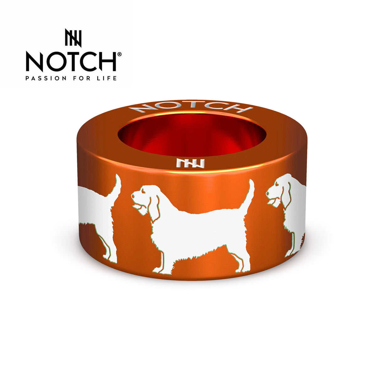Basset Fauve De Bretagne NOTCH Charm