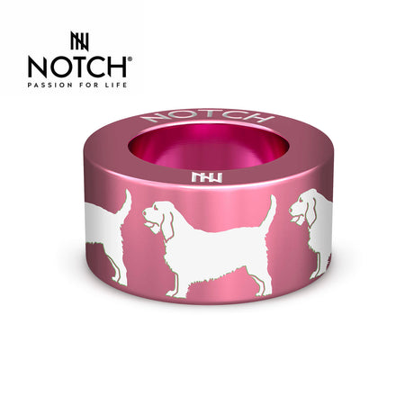Basset Fauve De Bretagne NOTCH Charm
